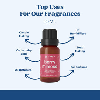 Scented Premium Fragrance Oil Multi Pack - Long-lasting Fragrance for Home
