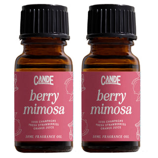 Scented Premium Fragrance Oil Multi Pack - Long-lasting Fragrance for Home