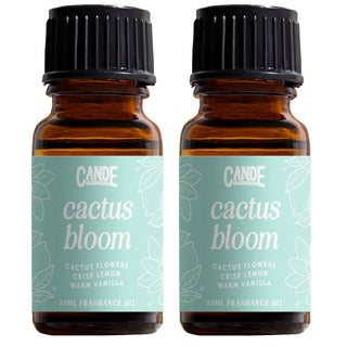 Scented Premium Fragrance Oil Multi Pack - Long-lasting Fragrance for Home
